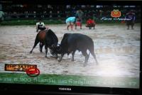 post-25023-0-16615000-1371118393_thumb.j