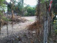 post-27132-0-48250100-1371120750_thumb.j