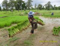 post-39126-0-53983900-1372138903_thumb.j