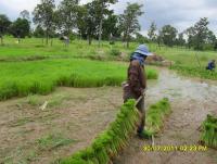 post-39126-0-54731400-1372139210_thumb.j