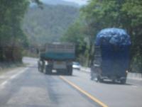 post-42667-0-76149200-1372062345_thumb.j