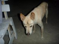 post-46292-0-22358300-1370939088_thumb.j