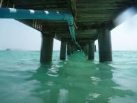 post-46292-0-42567000-1371118301_thumb.j