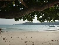 post-46292-0-60328800-1370939469_thumb.j