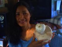 post-56811-0-96864100-1370910014_thumb.j