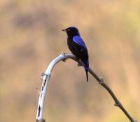 post-59731-0-35662300-1370522474_thumb.j