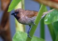 post-59731-0-98408600-1370614216_thumb.j