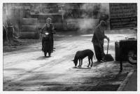 post-65768-0-77272100-1371200683_thumb.j