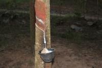 post-66148-0-44089400-1372160812_thumb.j