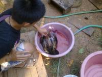 post-70928-0-20082800-1370980271_thumb.j