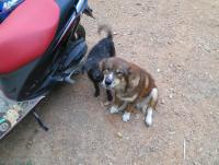 post-70928-0-38203200-1371038748_thumb.j