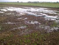 post-70928-0-41331600-1371312949_thumb.j