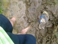 post-70928-0-41932000-1370981554_thumb.j