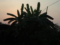 post-70928-0-48010100-1371832160_thumb.j