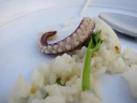 post-70928-0-59834400-1372177390_thumb.j