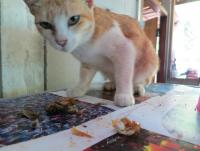 post-70928-0-60187200-1372348636_thumb.j