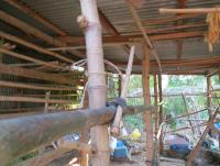 post-70928-0-69423900-1371041659_thumb.j