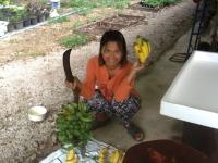 post-70928-0-75100900-1371040570_thumb.j