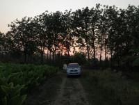 post-70928-0-85669400-1371832265_thumb.j