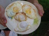 post-85853-0-74450400-1371696228_thumb.j