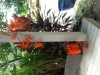 post-85853-0-80433300-1371691603_thumb.j