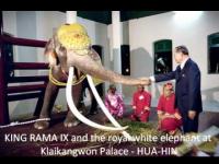 post-12069-0-08457800-1403866312_thumb.j