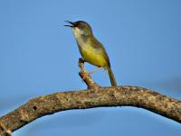 post-12069-0-13296000-1401958768_thumb.j