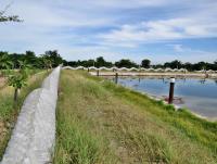 post-12069-0-23609200-1401853562_thumb.j