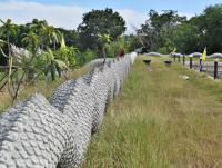 post-12069-0-28474300-1401853488_thumb.j