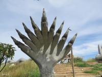 post-12069-0-35563200-1401853434_thumb.j