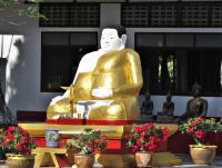 post-12069-0-54179600-1402373795_thumb.j