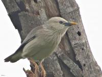 post-12069-0-56364200-1402657219_thumb.j