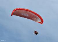 post-12069-0-59996700-1403147287_thumb.j