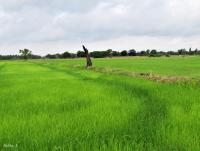 post-12069-0-62487400-1402956618_thumb.j