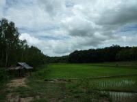 post-126208-0-59996800-1402226973_thumb.