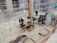 post-126208-0-86755300-1403980222_thumb.