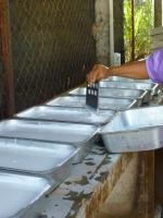 post-126208-0-96641900-1404037828_thumb.