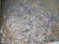 post-126208-0-98503200-1403980265_thumb.