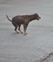 post-146250-0-10495100-1402824709_thumb.