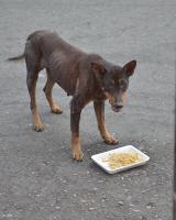 post-146250-0-28670500-1402824733_thumb.