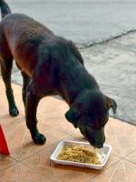 post-146250-0-55256900-1402825047_thumb.