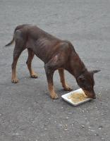 post-146250-0-58826900-1402824746_thumb.