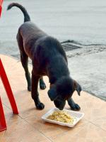 post-146250-0-71698600-1402825033_thumb.