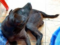 post-146250-0-76924600-1402825084_thumb.