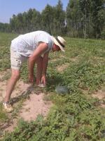 post-148604-0-31695600-1403938646_thumb.