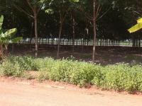 post-148604-0-47180800-1403936157_thumb.