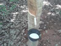 post-148604-0-89799400-1403937990_thumb.