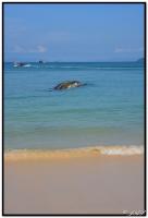 post-153732-0-49775700-1401974786_thumb.