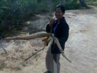 post-157194-0-59448800-1402753031_thumb.