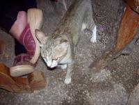 post-175700-0-15893700-1403775867_thumb.